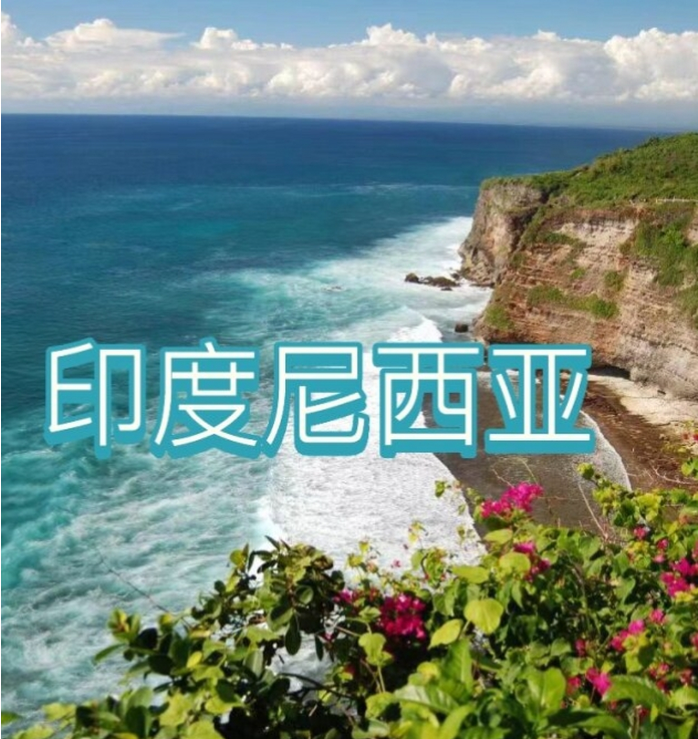 国国际电商(印尼)产业博览会冰球突破游戏网站2025中(图3)