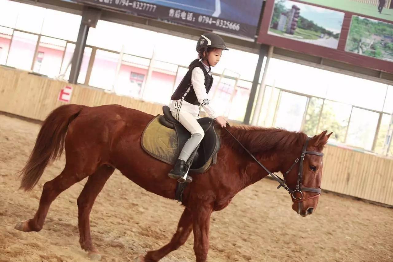 题、五大特色夏令营期待你的挑战!冰球突破暑期跟着晨报飞!四大主(图4) 题、五大特色夏令营期待你的挑战!冰球突破暑期跟着晨报飞!四大主(图4)