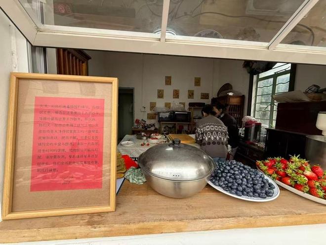 浦乡村：“手搓”零废弃婚礼 ｜新民特稿冰球突破豪华版一群热爱自然的年轻人在青(图3)