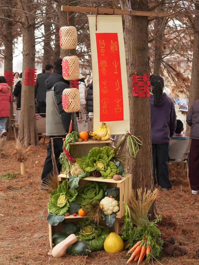 浦乡村：“手搓”零废弃婚礼 ｜新民特稿冰球突破豪华版一群热爱自然的年轻人在青(图2)